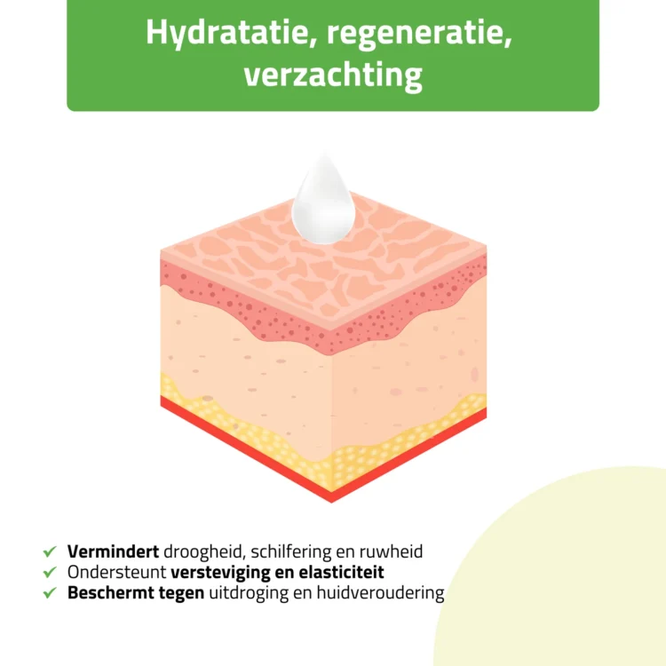 Massageolie Zoete Amandel Habys Nature Sweet Almond